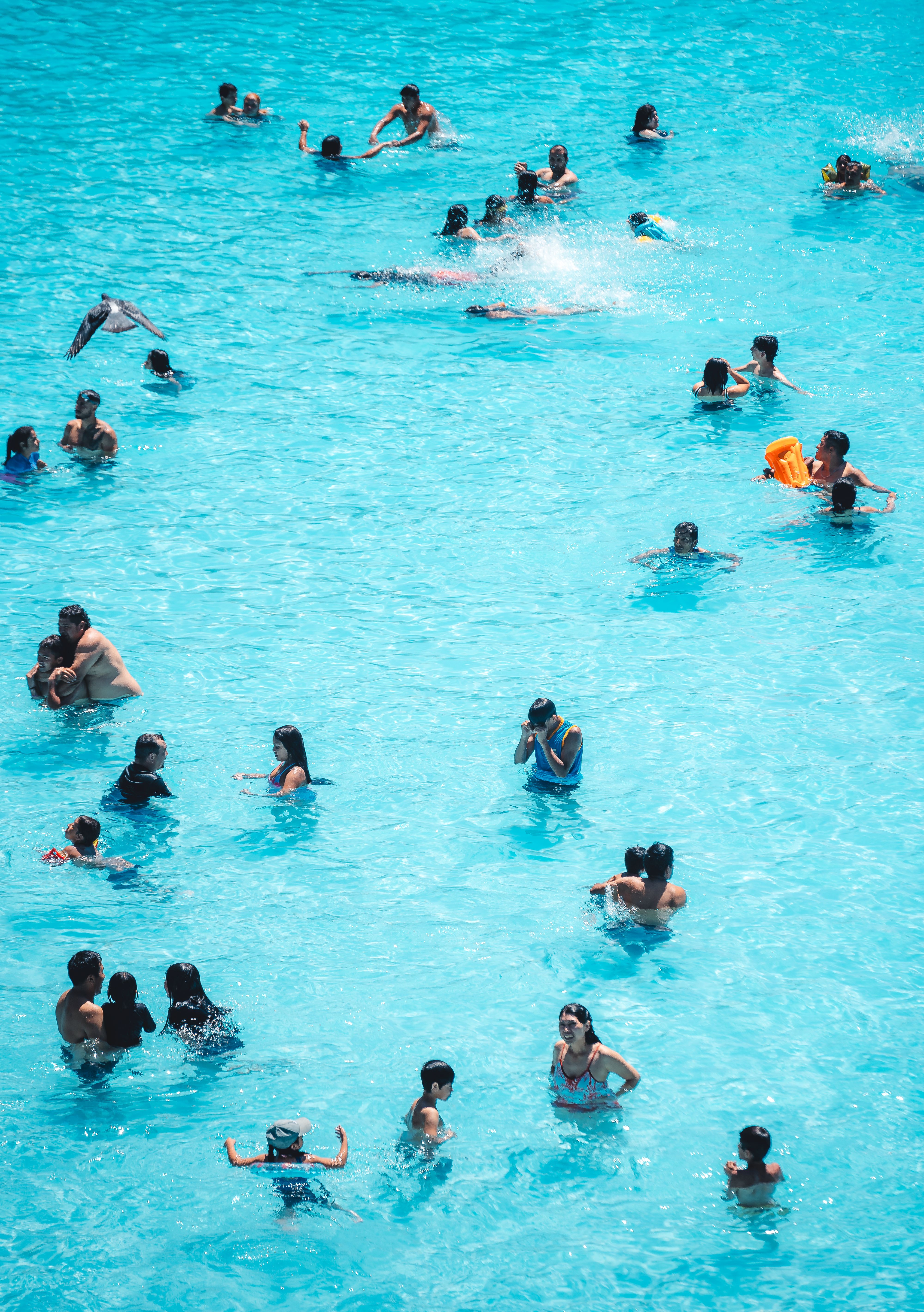 Crystal clear swimming pool